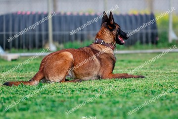 IMG_7605.jpg