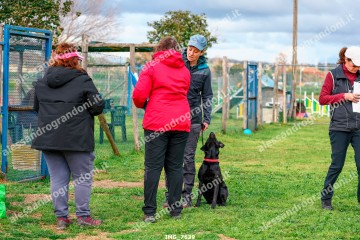 IMG_7639.jpg