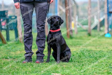 IMG_7642.jpg