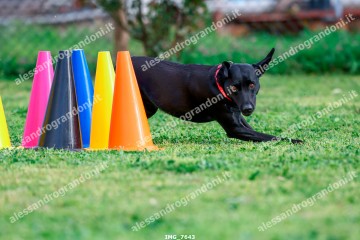 IMG_7643.jpg