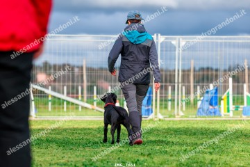 IMG_7661.jpg