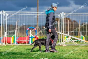 IMG_7663.jpg
