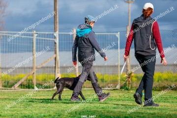 IMG_7667.jpg