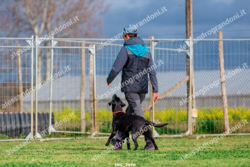 IMG_7670.jpg