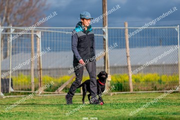 IMG_7676.jpg