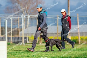 IMG_7686.jpg