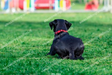 IMG_7694.jpg