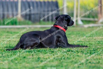 IMG_7699.jpg