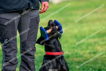 IMG_7704.jpg