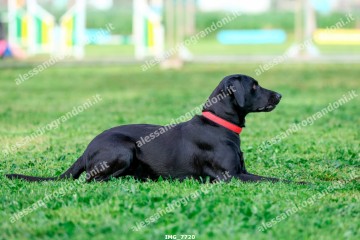 IMG_7720.jpg