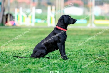 IMG_7723.jpg
