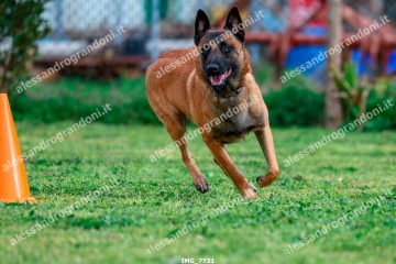 IMG_7731.jpg