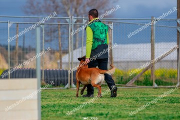 IMG_7753.jpg