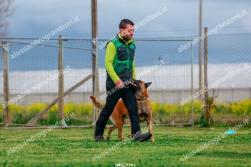 IMG_7761.jpg