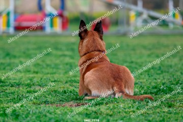 IMG_7778.jpg