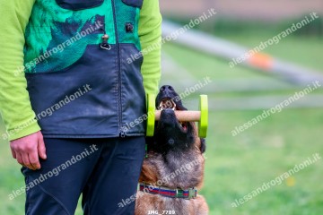 IMG_7789.jpg