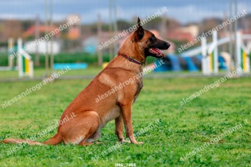 IMG_7805.jpg