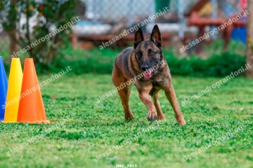 IMG_7815.jpg