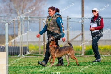 IMG_7843.jpg