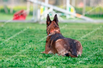 IMG_7858.jpg