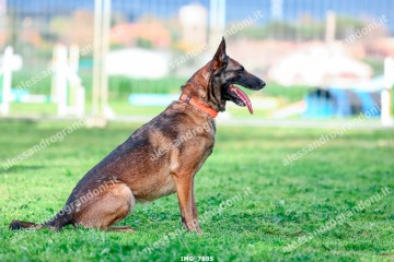IMG_7885.jpg