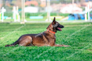 IMG_7889.jpg