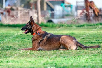 IMG_7896.jpg