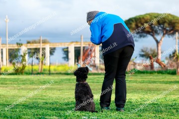 IMG_7909.jpg