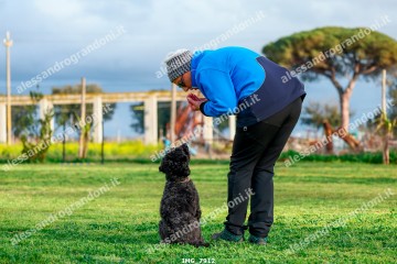IMG_7912.jpg