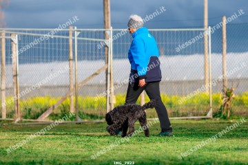 IMG_7923.jpg