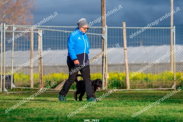 IMG_7932.jpg