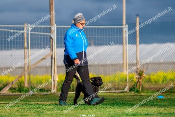 IMG_7933.jpg