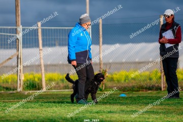 IMG_7937.jpg