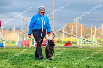 IMG_7943.jpg