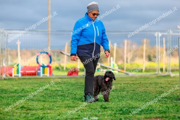 IMG_7950.jpg