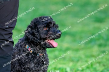 IMG_7959.jpg