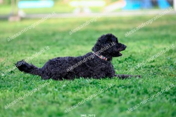 IMG_7972.jpg