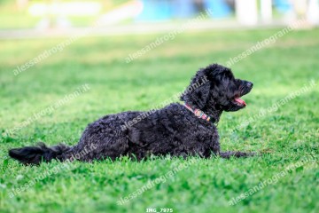 IMG_7975.jpg