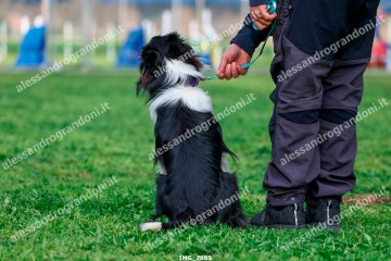 IMG_7985.jpg