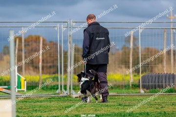 IMG_8006.jpg