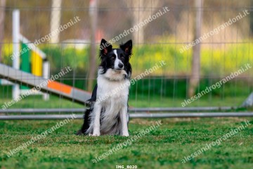 IMG_8020.jpg