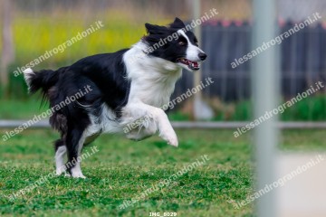 IMG_8029.jpg