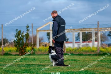 IMG_8042.jpg