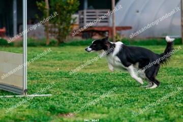 IMG_8047.jpg