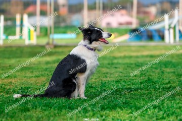 IMG_8058.jpg