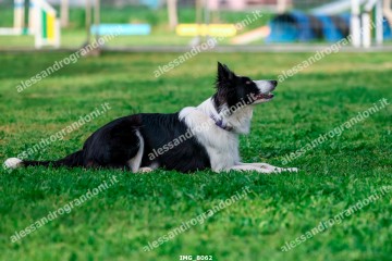 IMG_8062.jpg