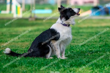 IMG_8066.jpg