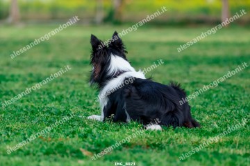 IMG_8071.jpg