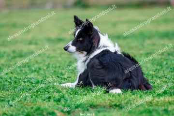 IMG_8075.jpg