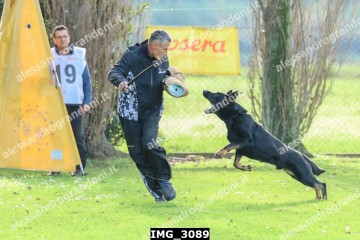 IMG_3089.jpg